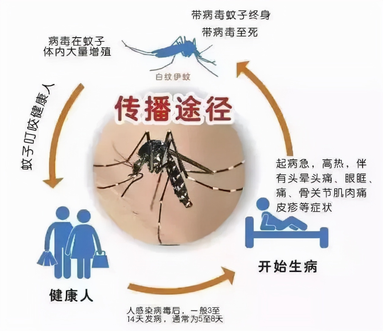 盘点史上最恐怖的十大病毒，新冠没有上榜，艾滋病毒仅排第三