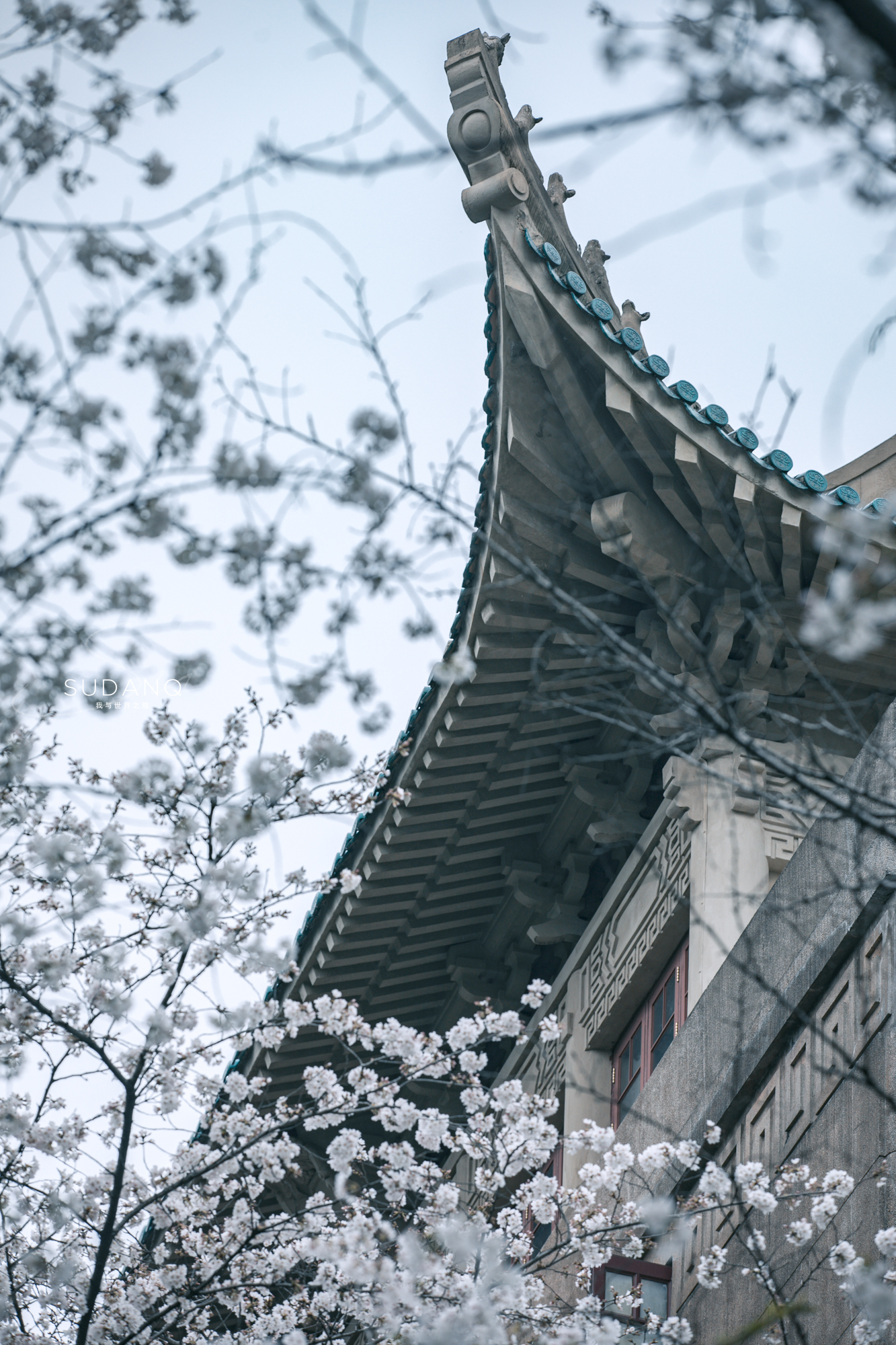 成功了！武汉上榜！这座城市真是越来越迷人，处处是风景