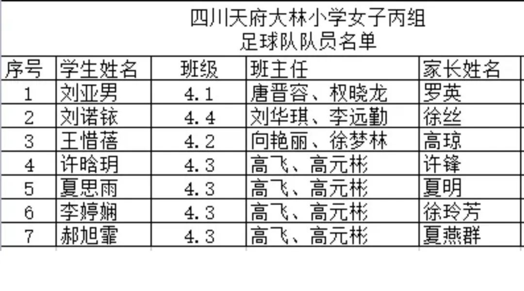大林小学参加2022年第二届“天府杯”校园足球总决赛取得优异成绩