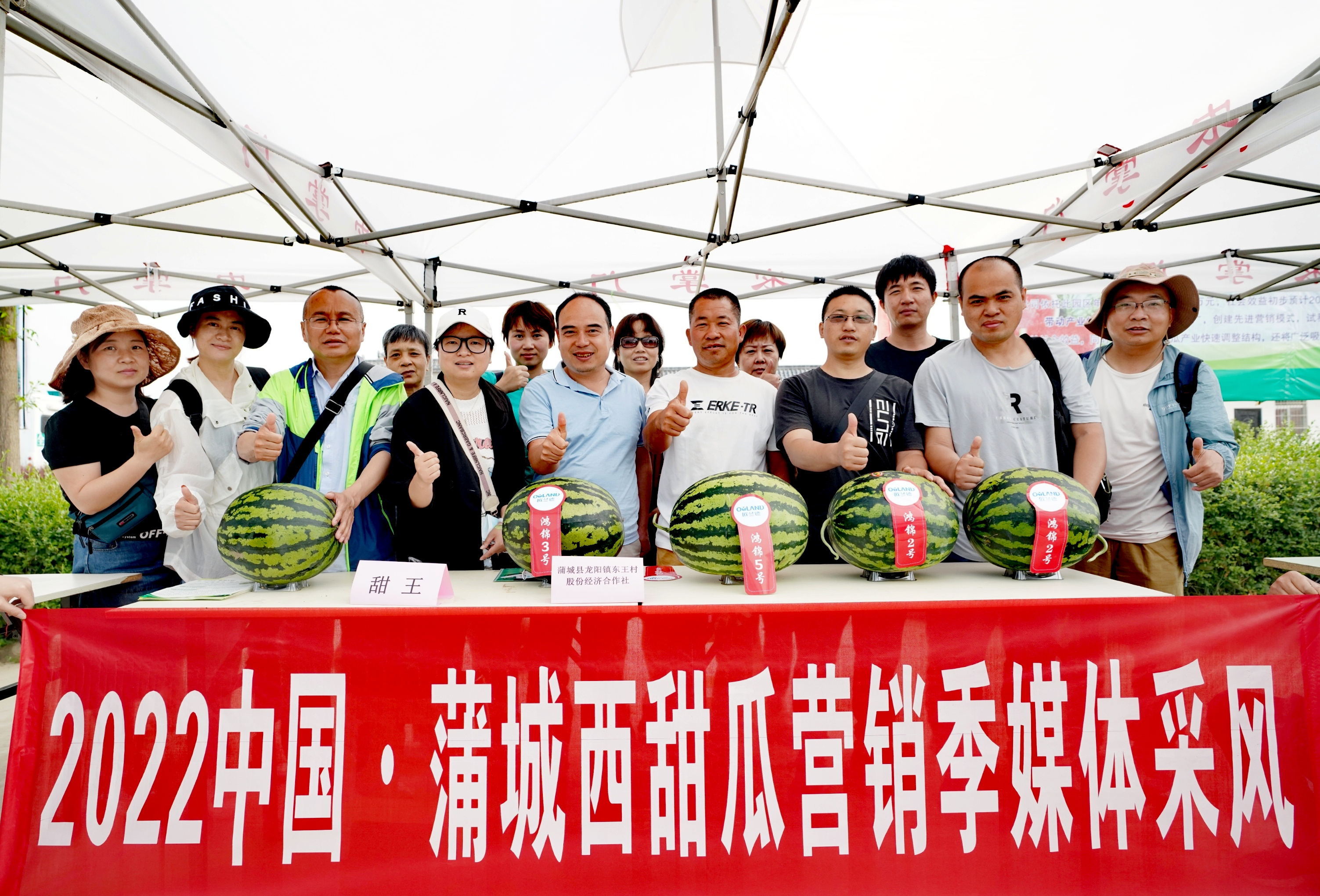 2022中国·蒲城西甜瓜营销季启动 17万亩西甜瓜迎来丰收销售期