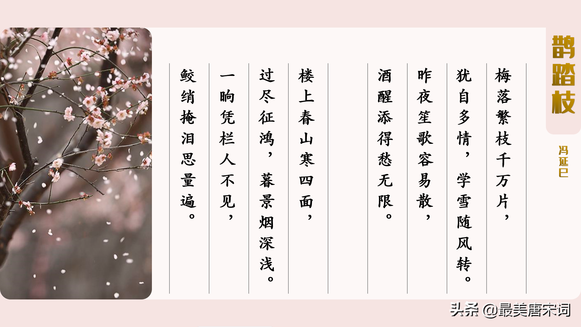 诗词里的春有百花 | 10首词感受10种花（唐五代部分，附深度解读）