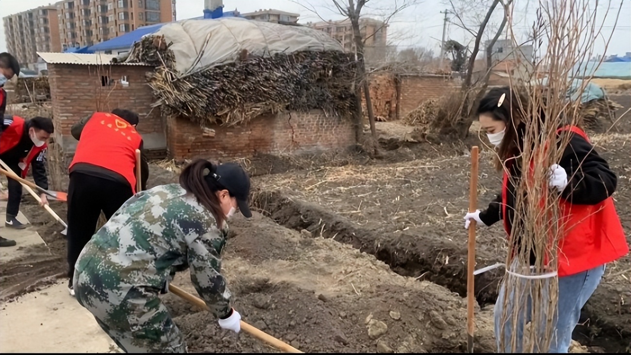 讷河市讷南镇：“春风春绿”志愿服务 共植常青树