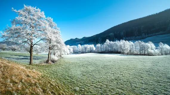 发朋友圈配雪景的走心说说文案 下雪天文案简短唯美（精选80句）图片
