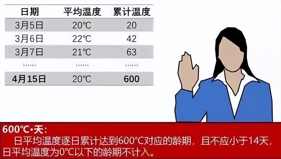 80%的造价人不知道混凝土为什么叫“砼”