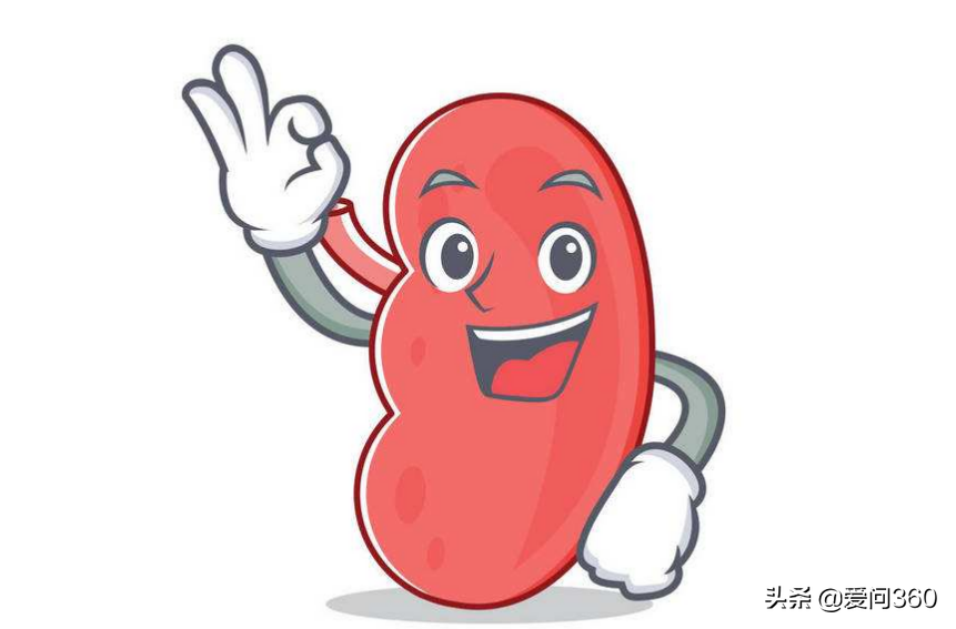 肾脏到底好不好，头发也能看出来，教你几个判断肾脏问题的方法