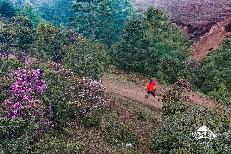 2022年“楚雄-大姚百草岭登山大会”（线上赛）启动仪式圆满成功