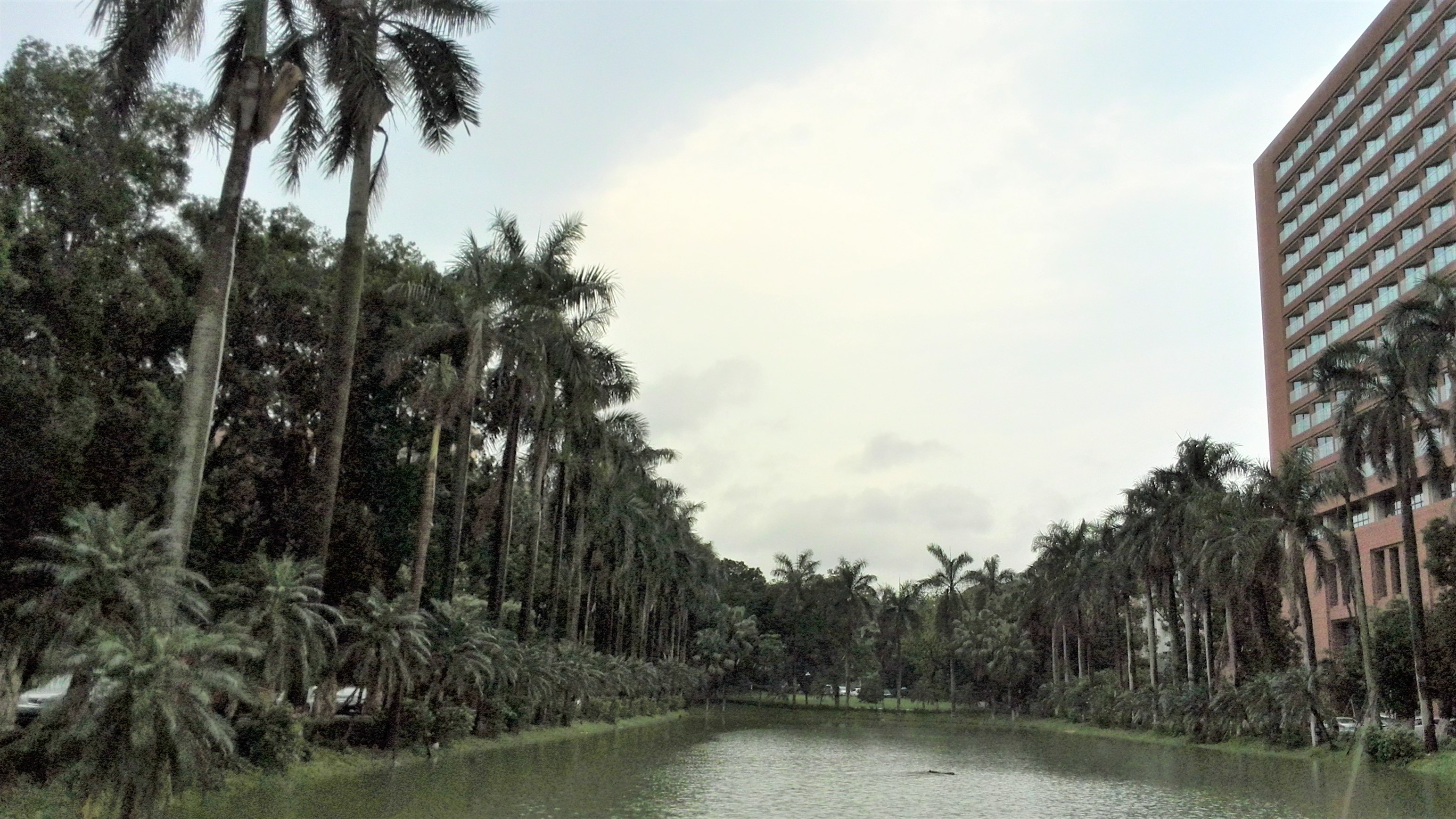 中山大学：广东人眼里的华南一霸，知名度不过长江？