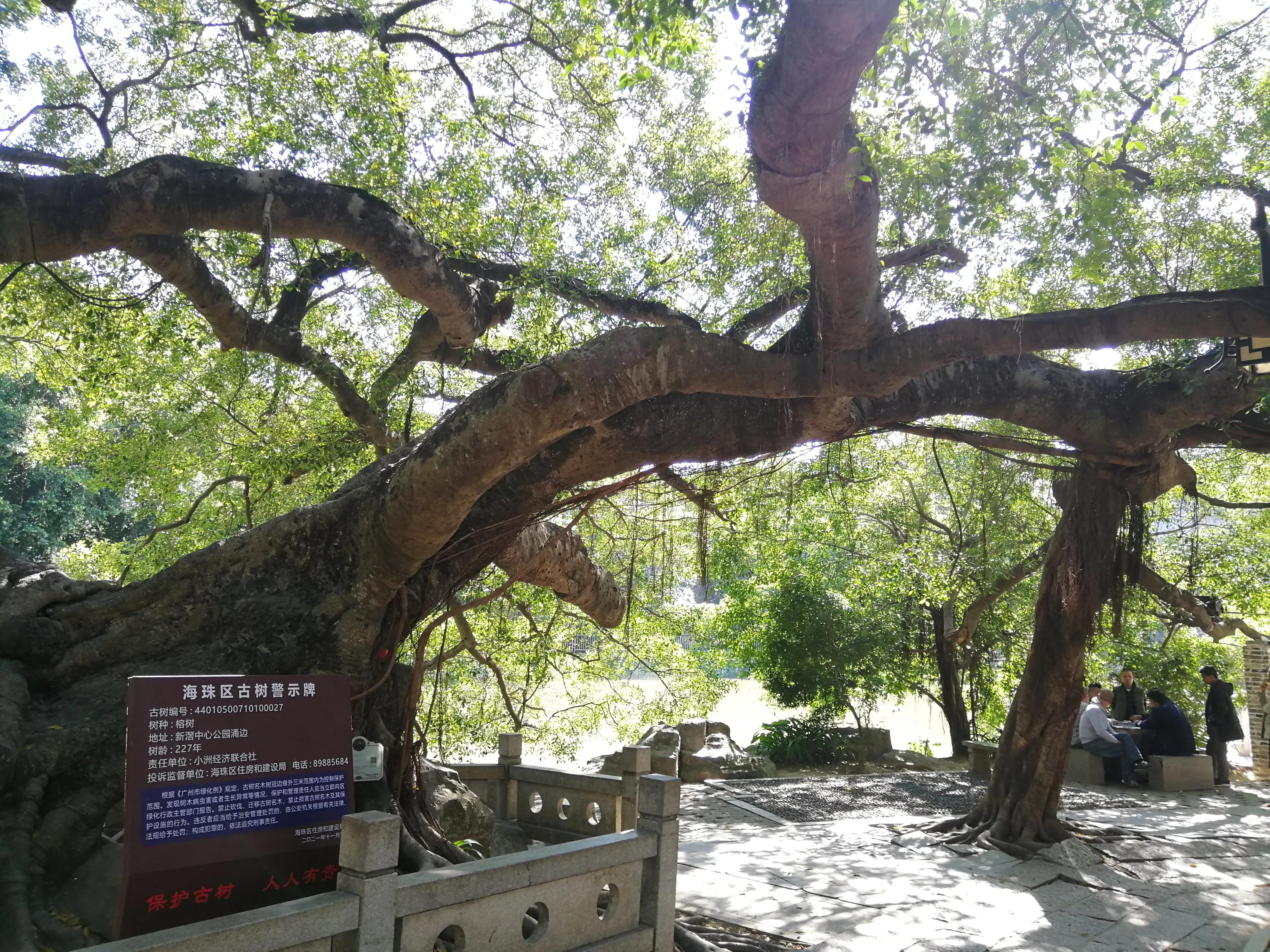 地铁4号线大学城游玩攻略，领略那不一样的广州大学城风光（C篇）