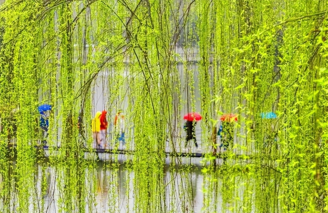 「原创诗词」管恩锋 | 水墨迎春千古景 枝头露出一团红（咏春17首）