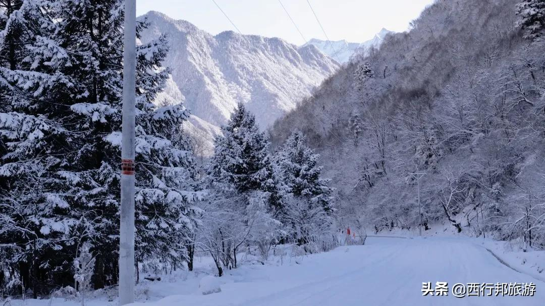 春节去哪玩？成都周边12大滑雪、赏雪、泡温泉圣地推荐