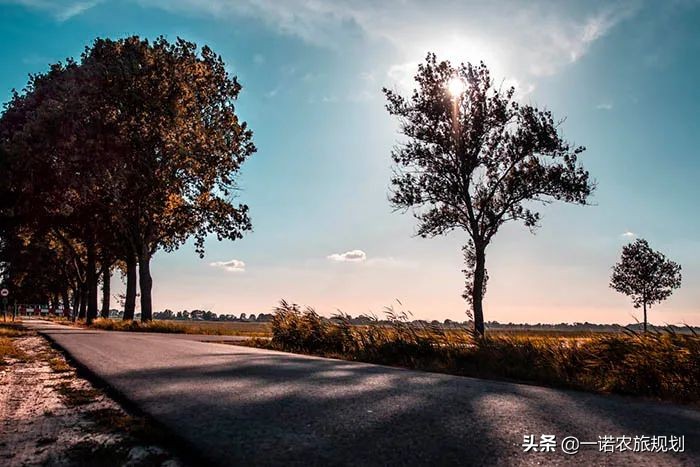 乡村振兴需要哪些“引擎”？