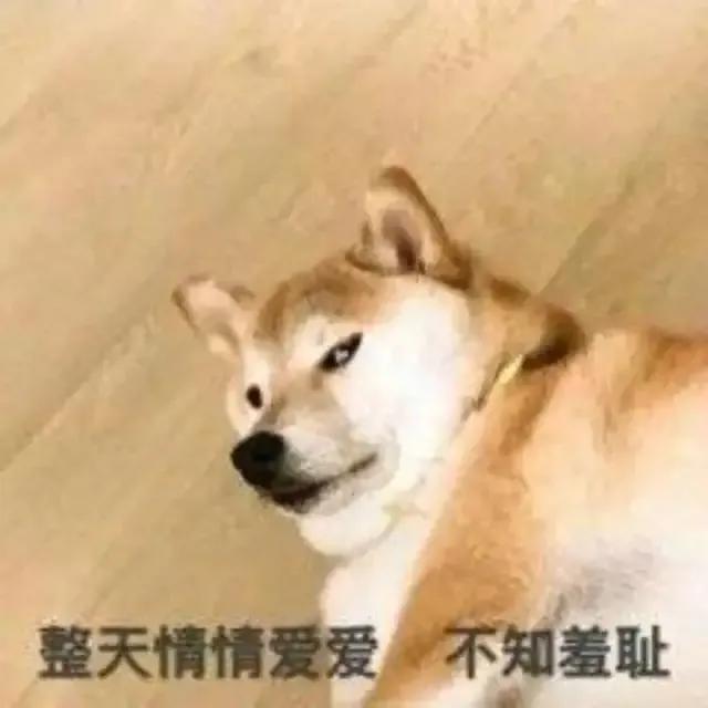 沙雕表情包