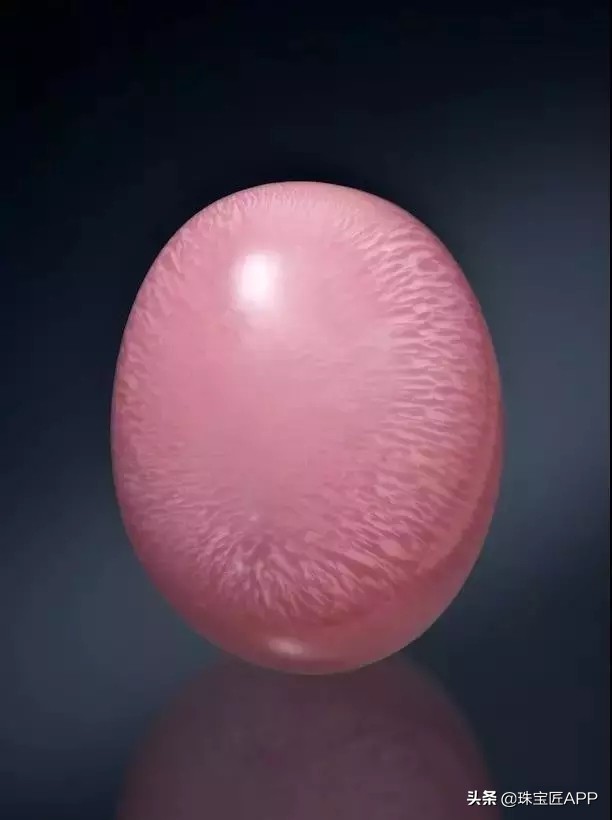 粉色的海螺珠产子粉色的女王凤凰螺中,颜色也会因其生命中的不同阶段