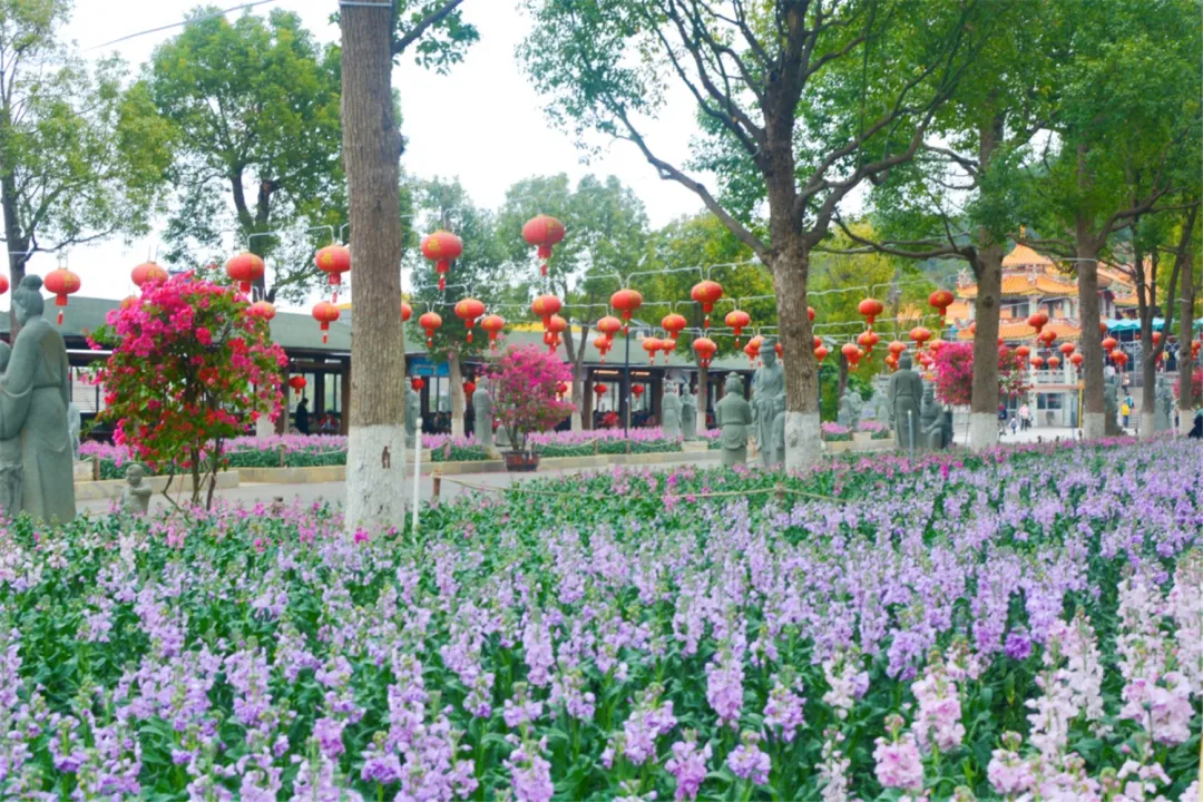 在厦门过春节,看这篇就够啦