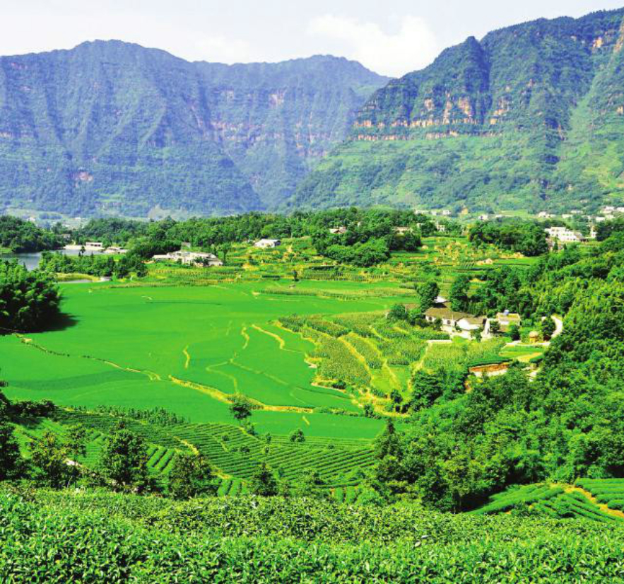 能将四川盆地改为内陆湖吗(四川盆地变成湖) - 趣味头条