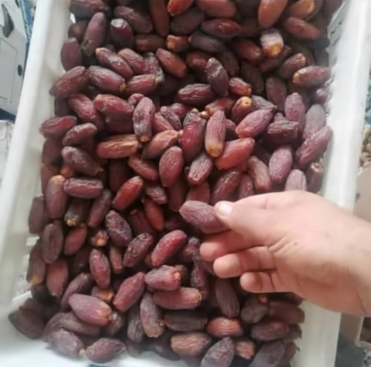 巴基斯坦椰枣价格大跌了巴基斯坦椰枣多少钱一斤