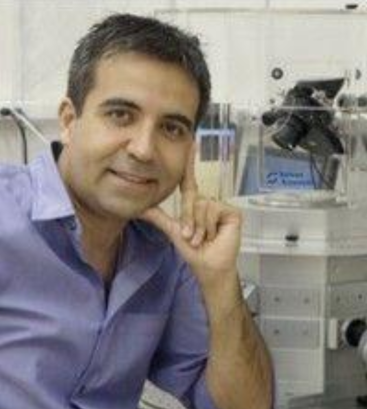 赴美深造的北大才女唐晓琳：9年后在金门大桥自杀，调查发现隐情