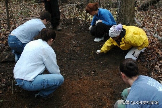 尸体农场(揭秘世界上首个尸体农场！1800具尸体死后依旧在此工作)