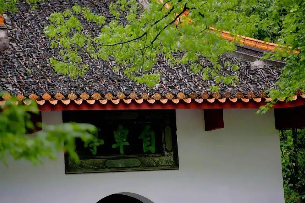 湖南大学播音与主持艺术、广播电视编导专业录取情况如何？