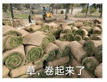 就算被开除，我也要吐槽一下工作周报