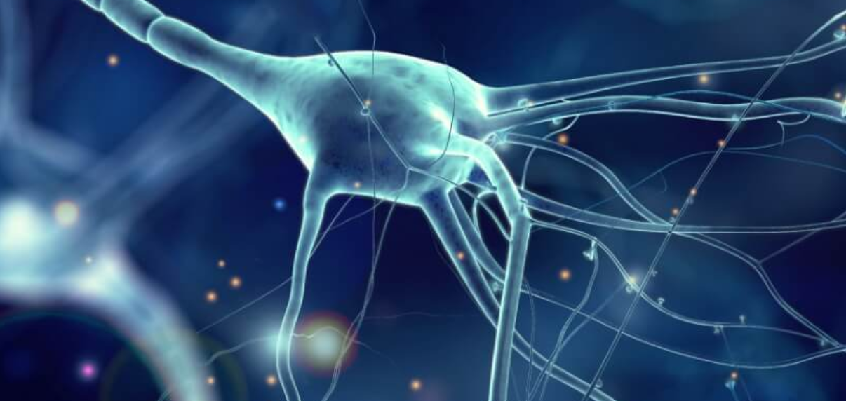 生物医药企业Amylyx冲刺美股：拟募资1.75亿美元 晨兴是股东