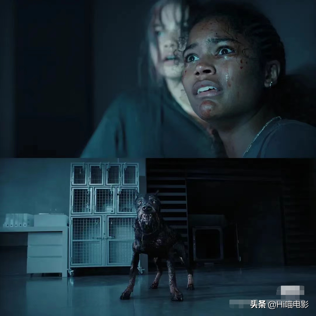 奈飞Netflix公布2022最挣钱新剧，有尺度有深度，全看过的算我输