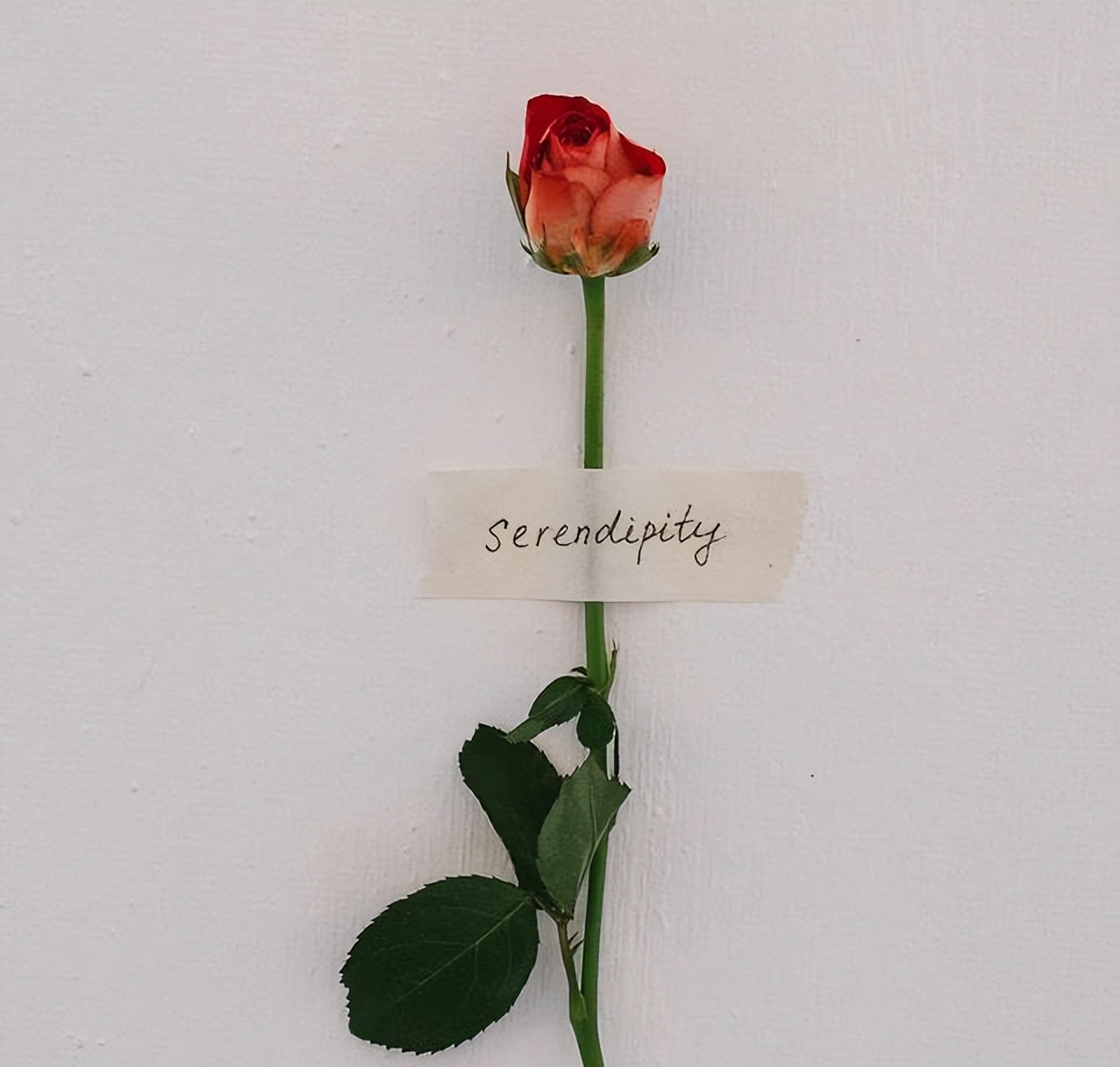 其实，男人越是深爱你，越不会“对你好”