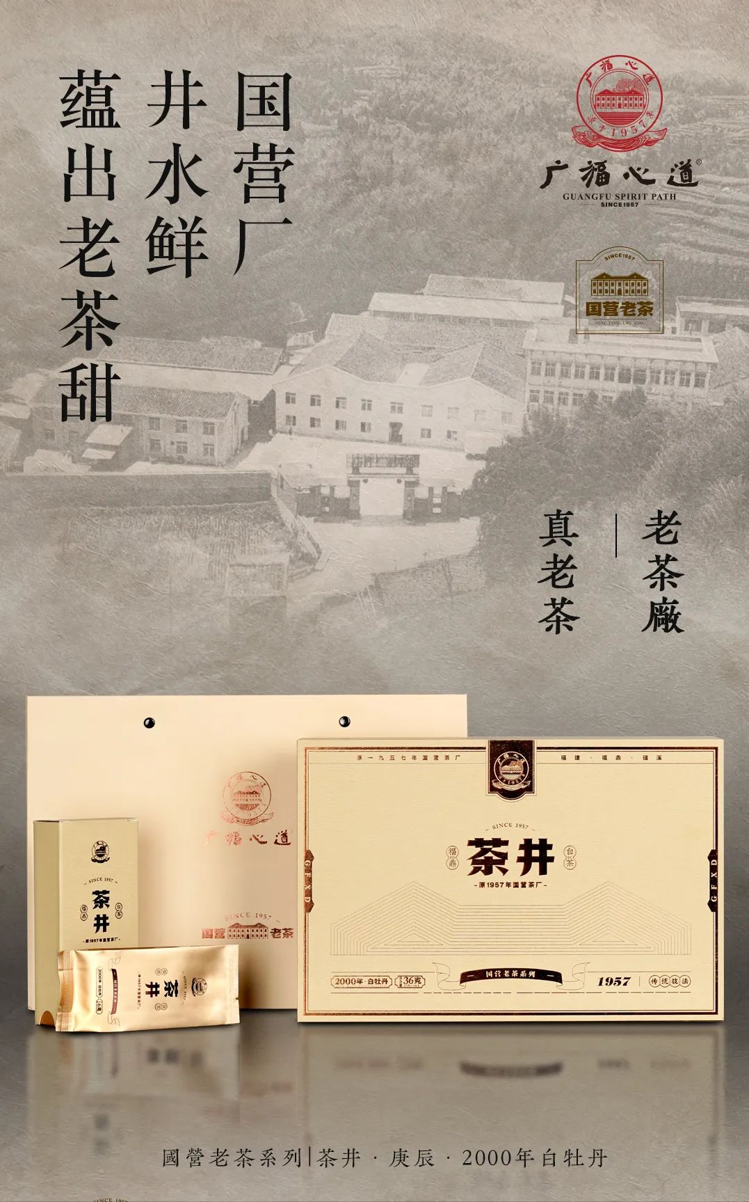 茶井·庚辰：2000年老牡丹，国营茶味活化石