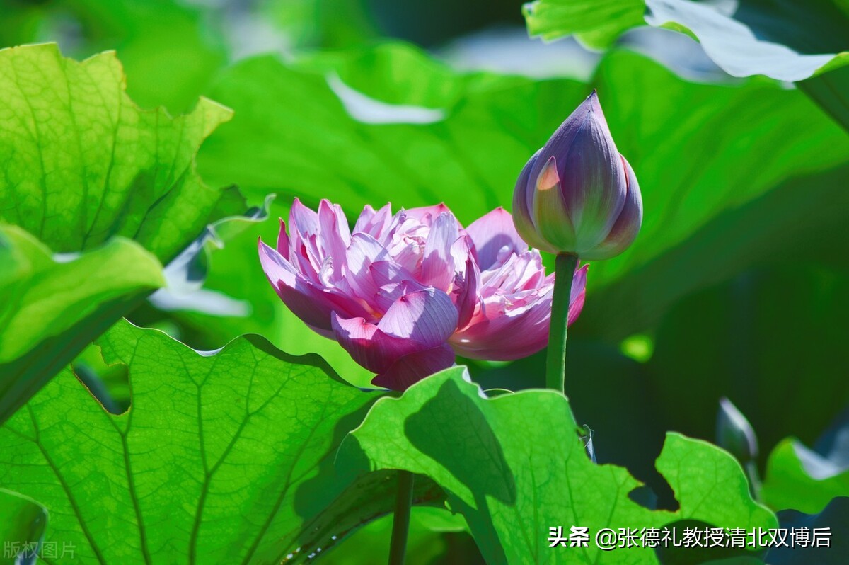 李春彪：对大学课堂的新理解（五条教学心得）转载