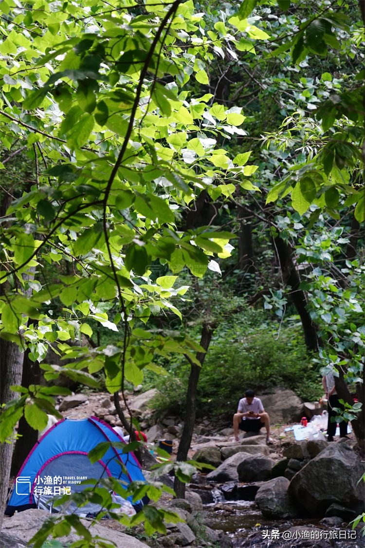 这条秦岭沟谷，一进山就能看到美景，老人、孩子来玩也合适