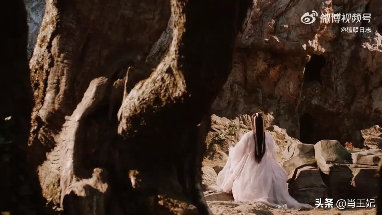 桃桃的一组生图,肖战的眼睛真好看,灵气逼人鲜花与少年绝配