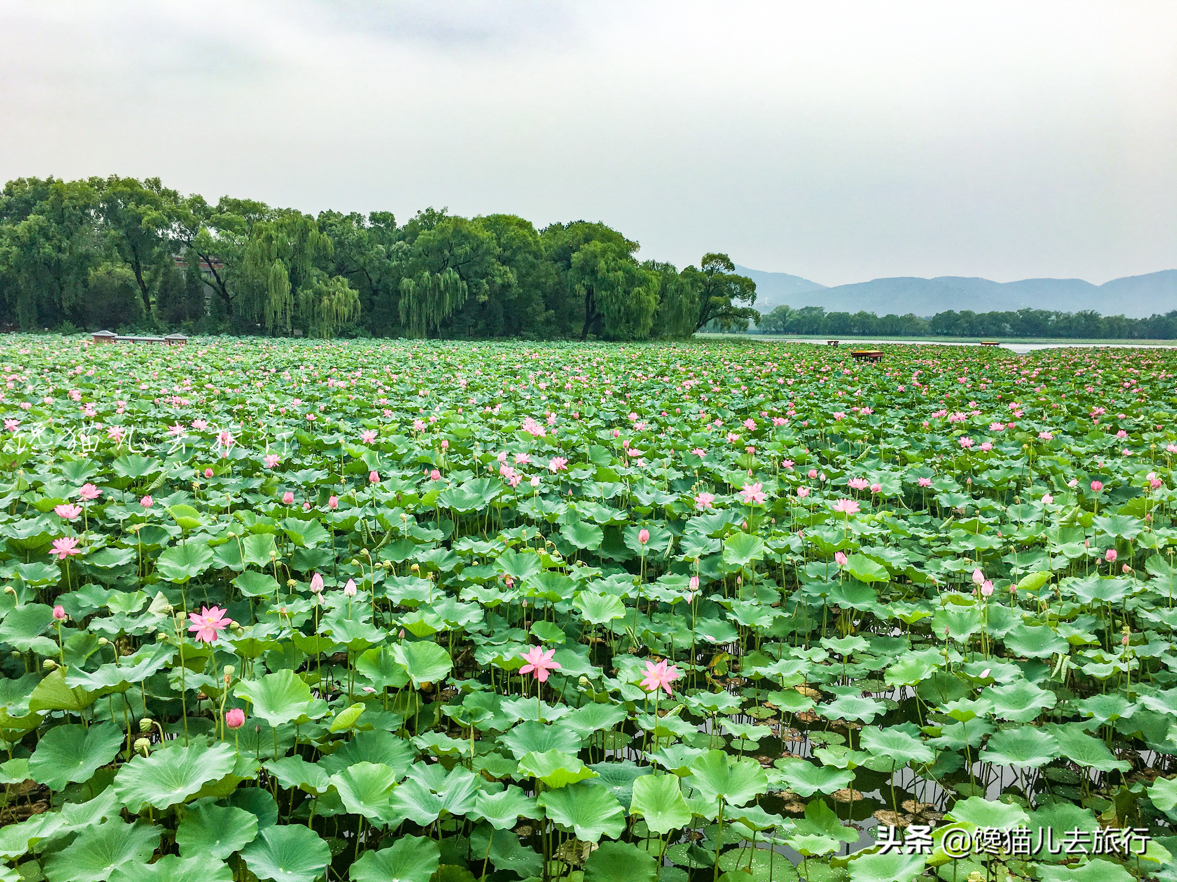 北京公園年票能去17個公園，包括兩個5A級景區和九個4A級景區