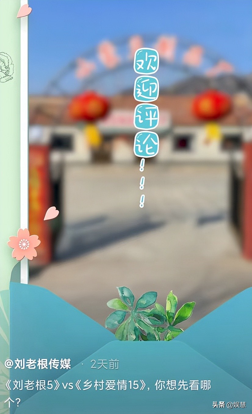 想先看《刘老根5》还是《乡村爱情15》？观众给出了第三种答案