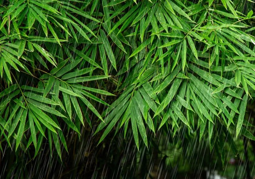 每一场雨，都有一个好听的名字