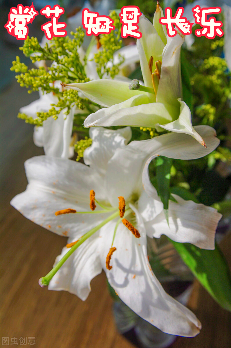 一花一欢喜，万千春花开，花开忆相思，与花一场爱，深爱到永远