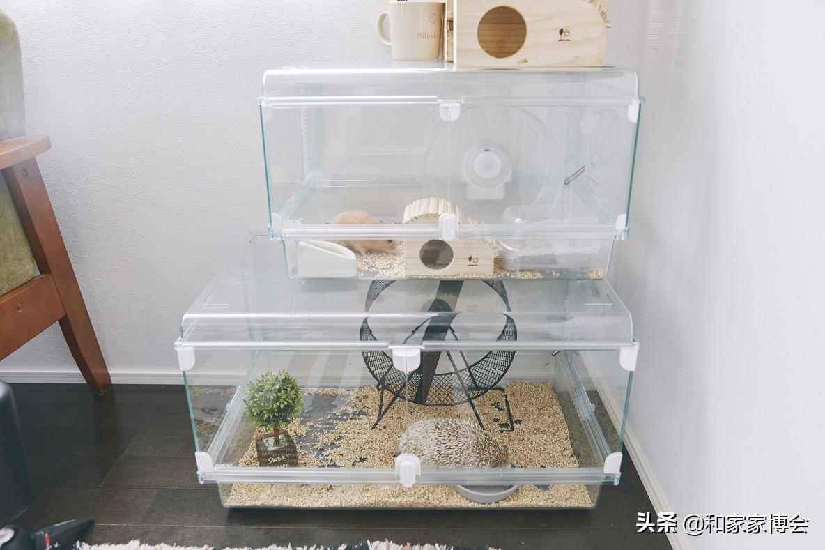 新婚夫妇的50㎡出租房改造 打造温馨小屋
