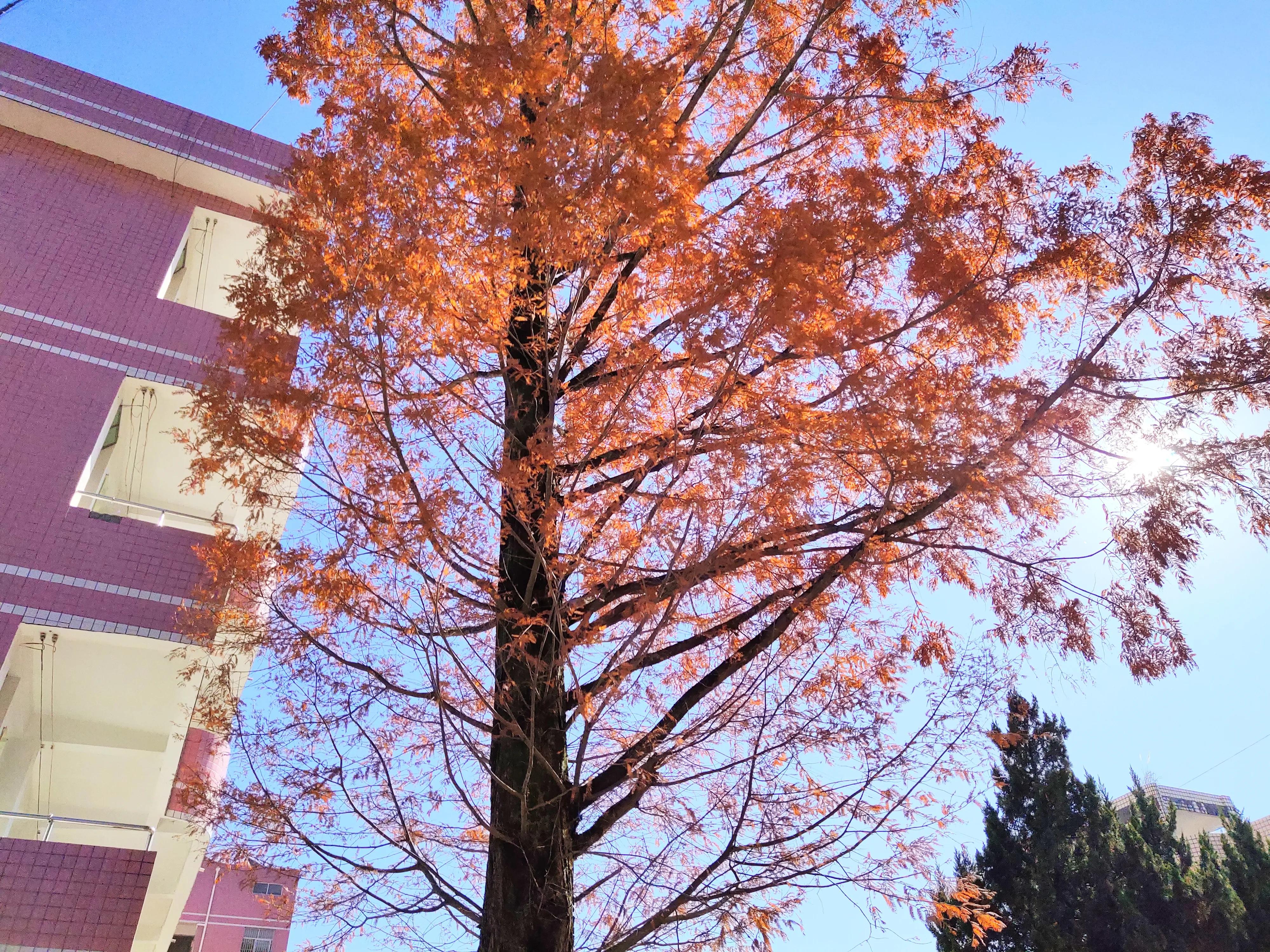 风、雨、阳光职称路 一路雨来一路歌(三)