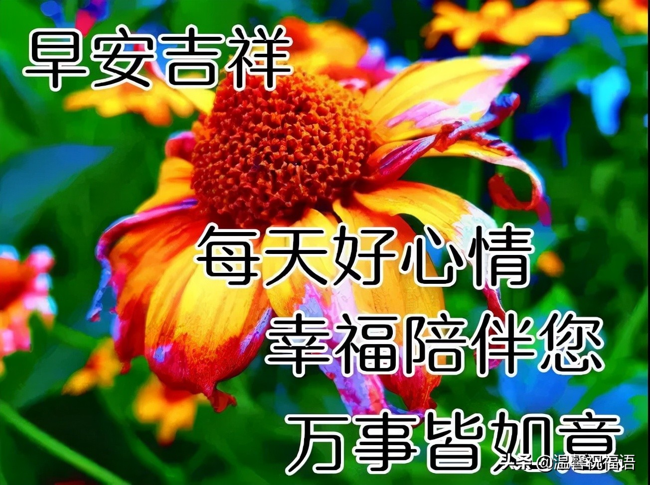 朋友圈清晨早安正能量问候祝福图片，微信早安祝福动态美图