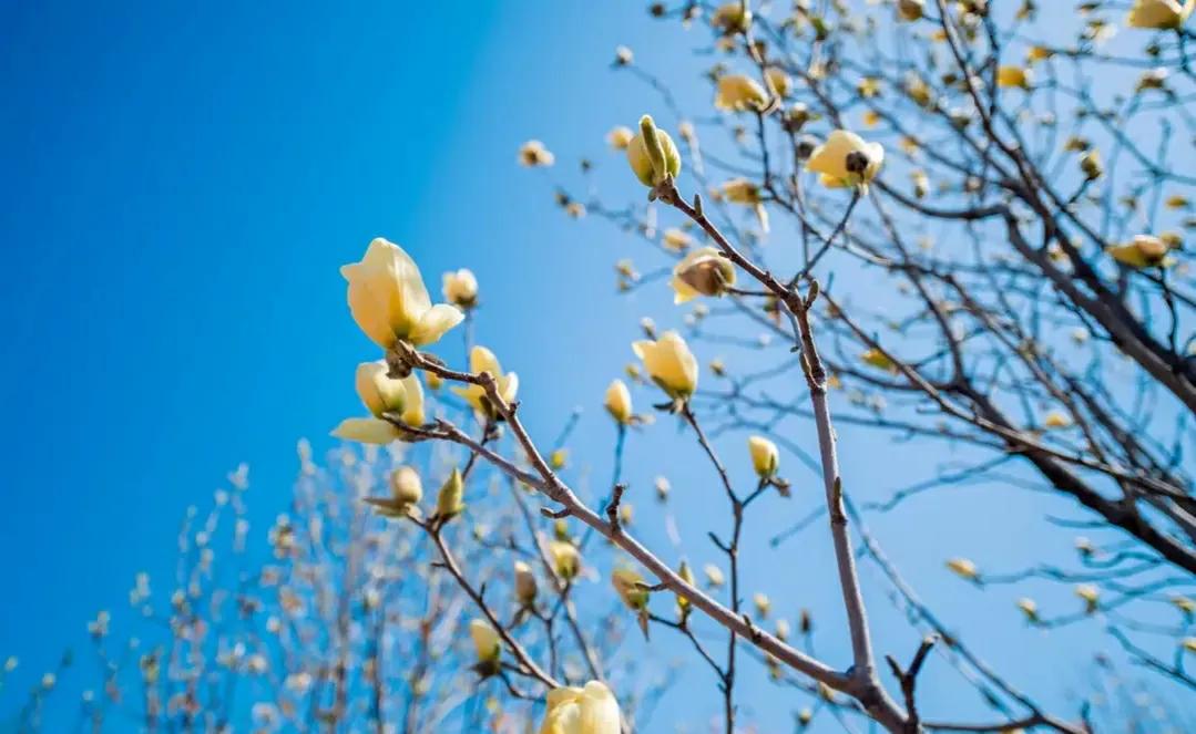 ����Ԥ��������4��5�������ڣ�������ɶ˵����������ũ����Ԥ��