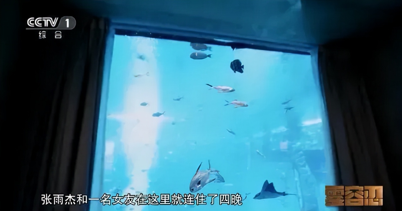 “95后”的“狼崽子”贪污挥霍7000万