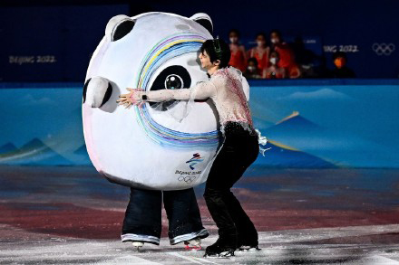 冰墩墩名场面可爱集