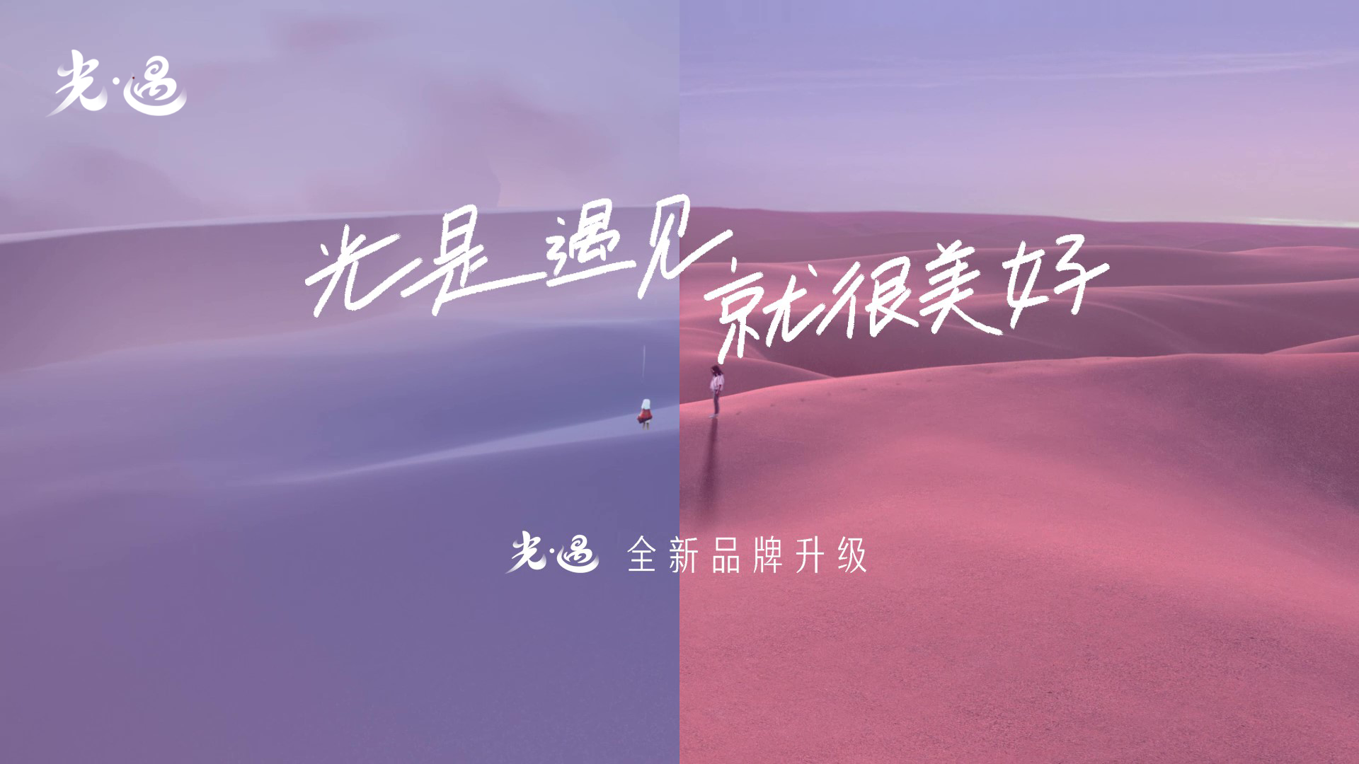 聚焦海龟公益 珍藏美好相遇｜《光·遇》520发布