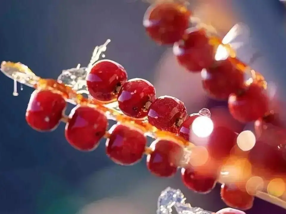 精品线路（208）：保定亲子游3大打卡地，冬天也不愁遛娃了