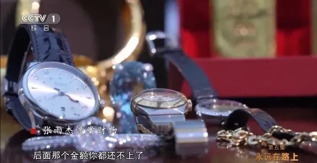 “95后”的“狼崽子”贪污挥霍7000万