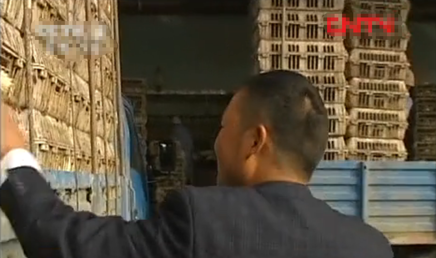 2007年男子花60万养鸭子，4年后靠鸭子挣了2000万，如今身价过亿