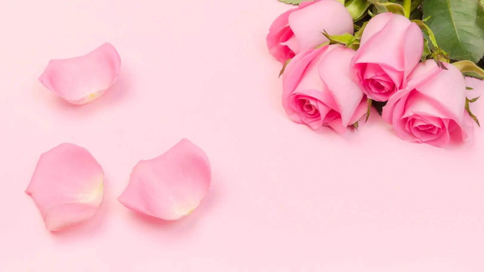 关于玫瑰的永不落俗的高级文案