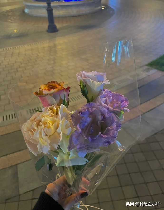 成考专升本2022需要考些什么科目