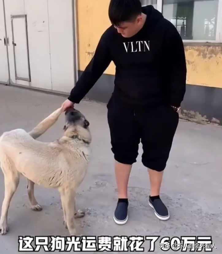 父亲是明星大佬，儿女个个不成器，奢侈挥霍还频频违法