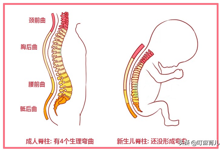 横抱哭竖抱乖，为啥2-3月龄宝宝偏爱竖抱？原来是变聪明的信号