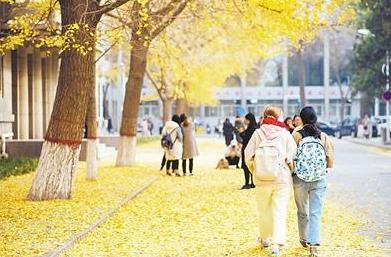 河南高校经费预算排名出炉，河南师大排名超过河南科大，稳居第三